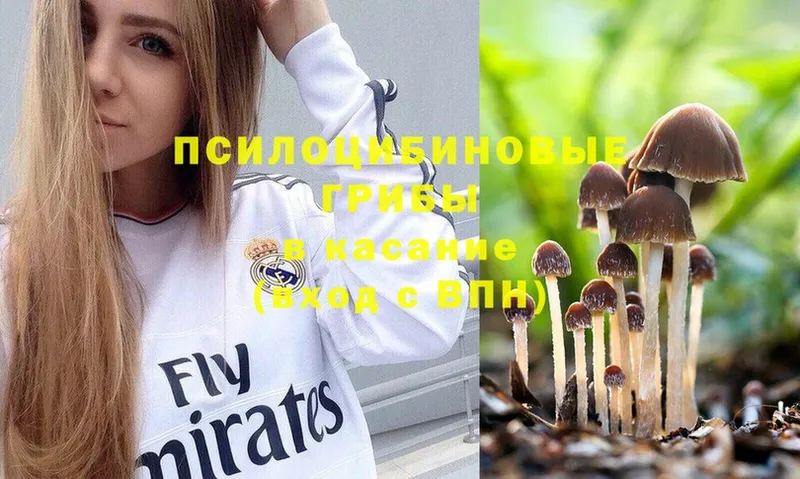 гидра как зайти  Наволоки  Галлюциногенные грибы MAGIC MUSHROOMS  где купить наркотик 